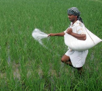 FERTILIZER