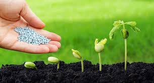 SOIL TREATMENT